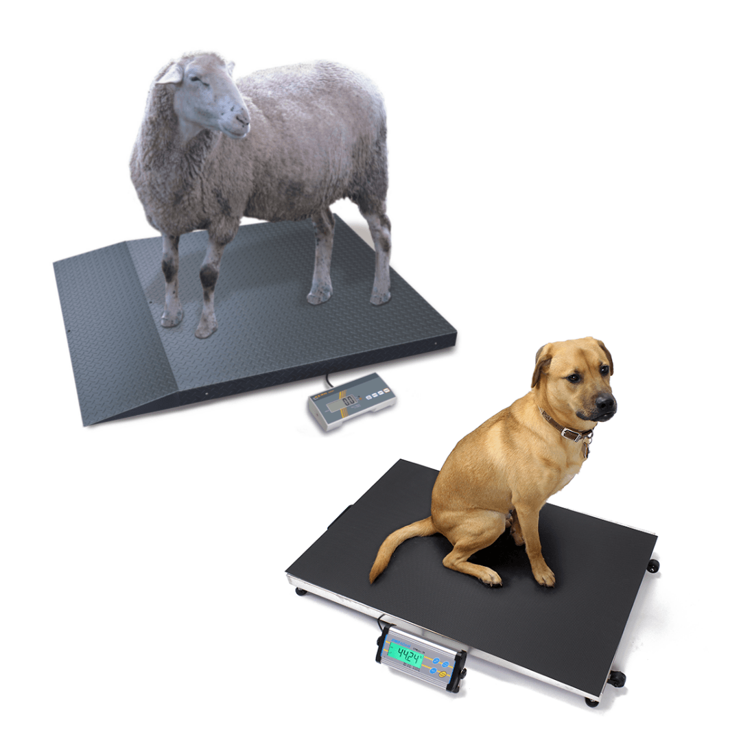 Vee en dieren weegschalen